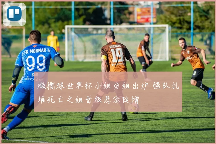 橄榄球世界杯小组分组出炉 强队扎堆死亡之组晋级悬念陡增