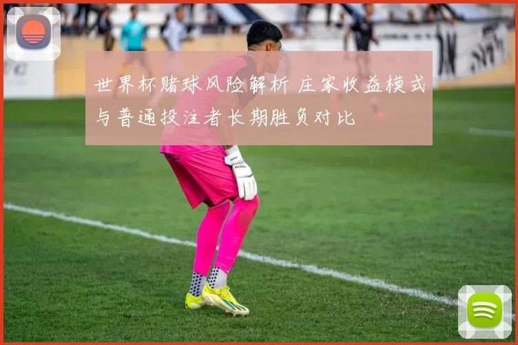 世界杯赌球风险解析 庄家收益模式与普通投注者长期胜负对比