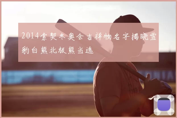2014索契冬奥会吉祥物名字揭晓雪豹白熊北极熊当选